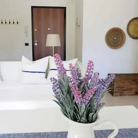 Bilocale N 10 Vicino Al Mare *